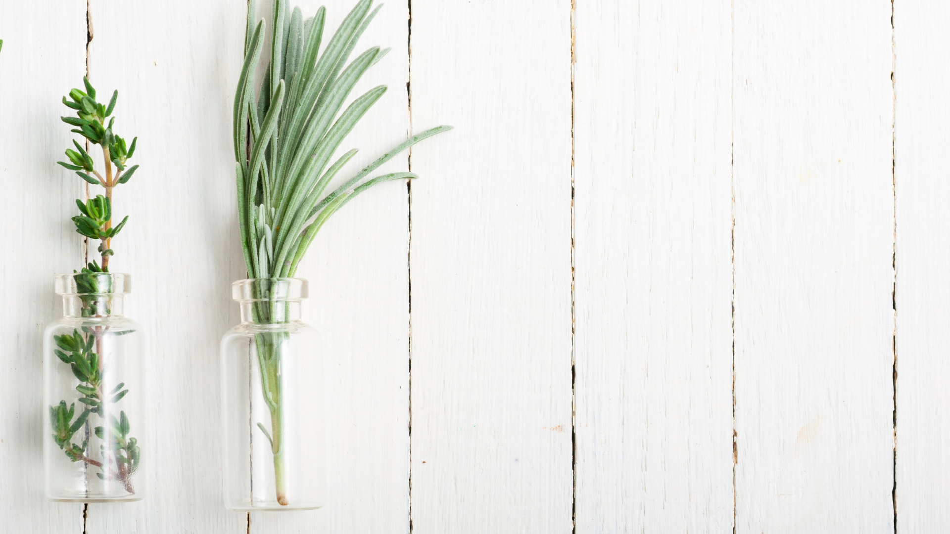 naturopathe équilibre hormonal